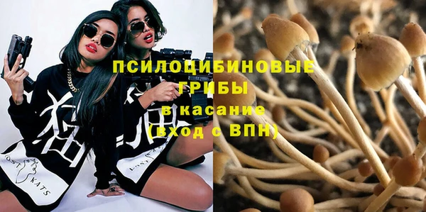 мяу мяу мука Баксан