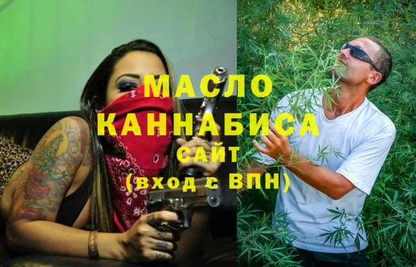 индика Пестово