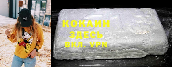 СК Белокуриха