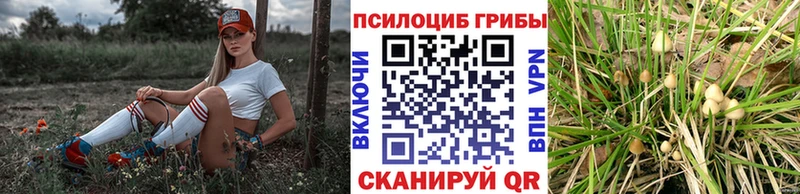 Галлюциногенные грибы мухоморы  как найти   Кодинск 